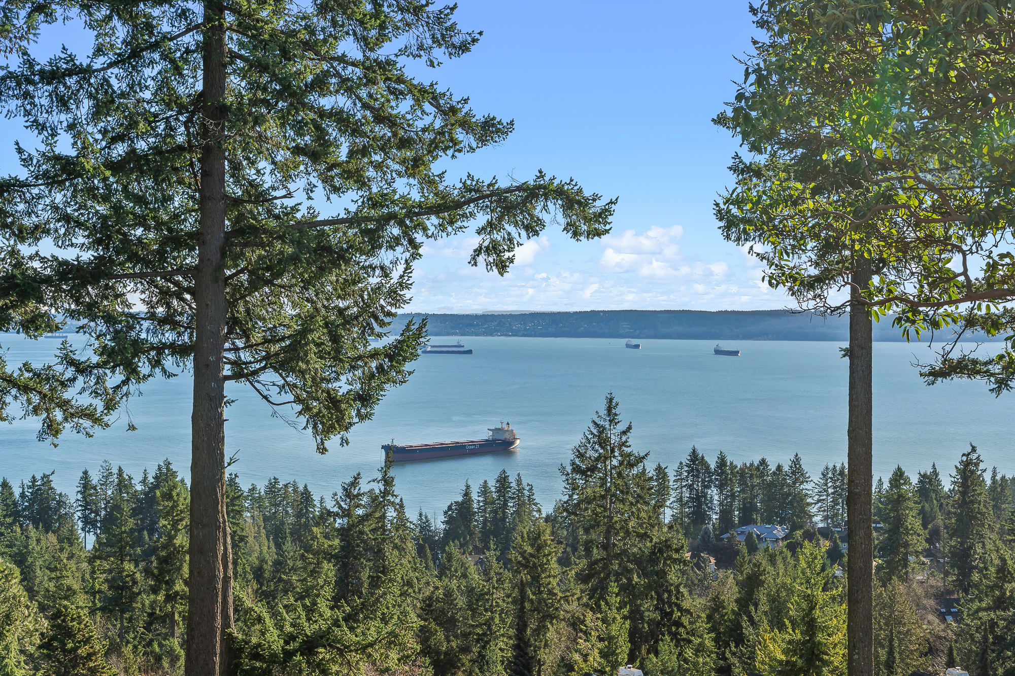 #8 - 5110 Alderfeild Place